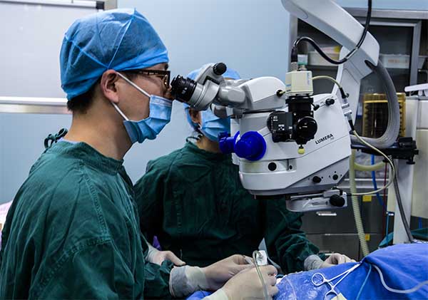 2017南医大眼科医院新增博士生导师一名、硕士生导师一名