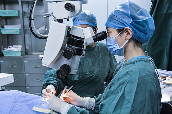 我院姚进教授获批1项2019年度国家自然科学基金项目